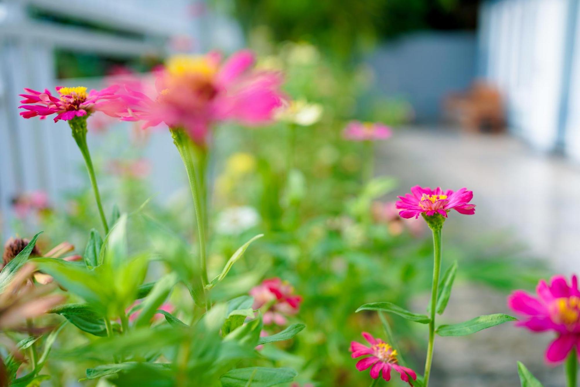 Getrudis Guesthouse ลาบวนบาโจ ภายนอก รูปภาพ
