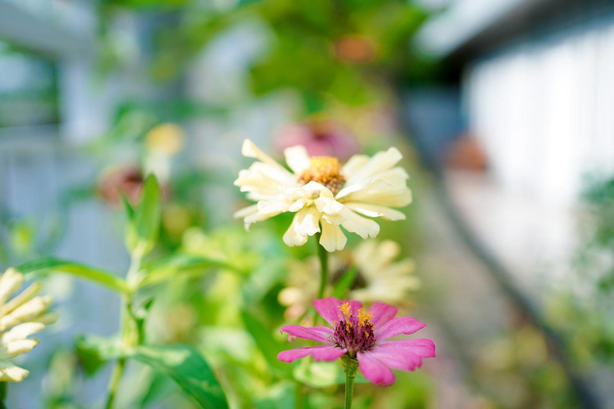 Getrudis Guesthouse ลาบวนบาโจ ภายนอก รูปภาพ